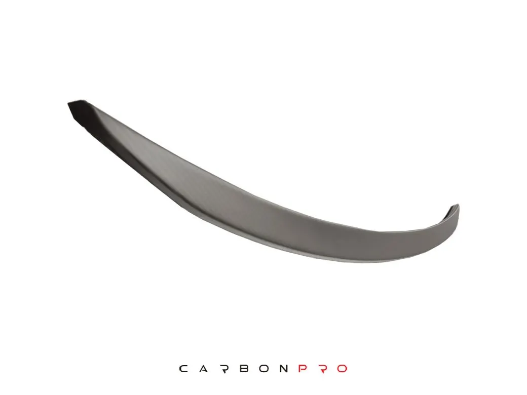 Carbon Rear Spoiler I