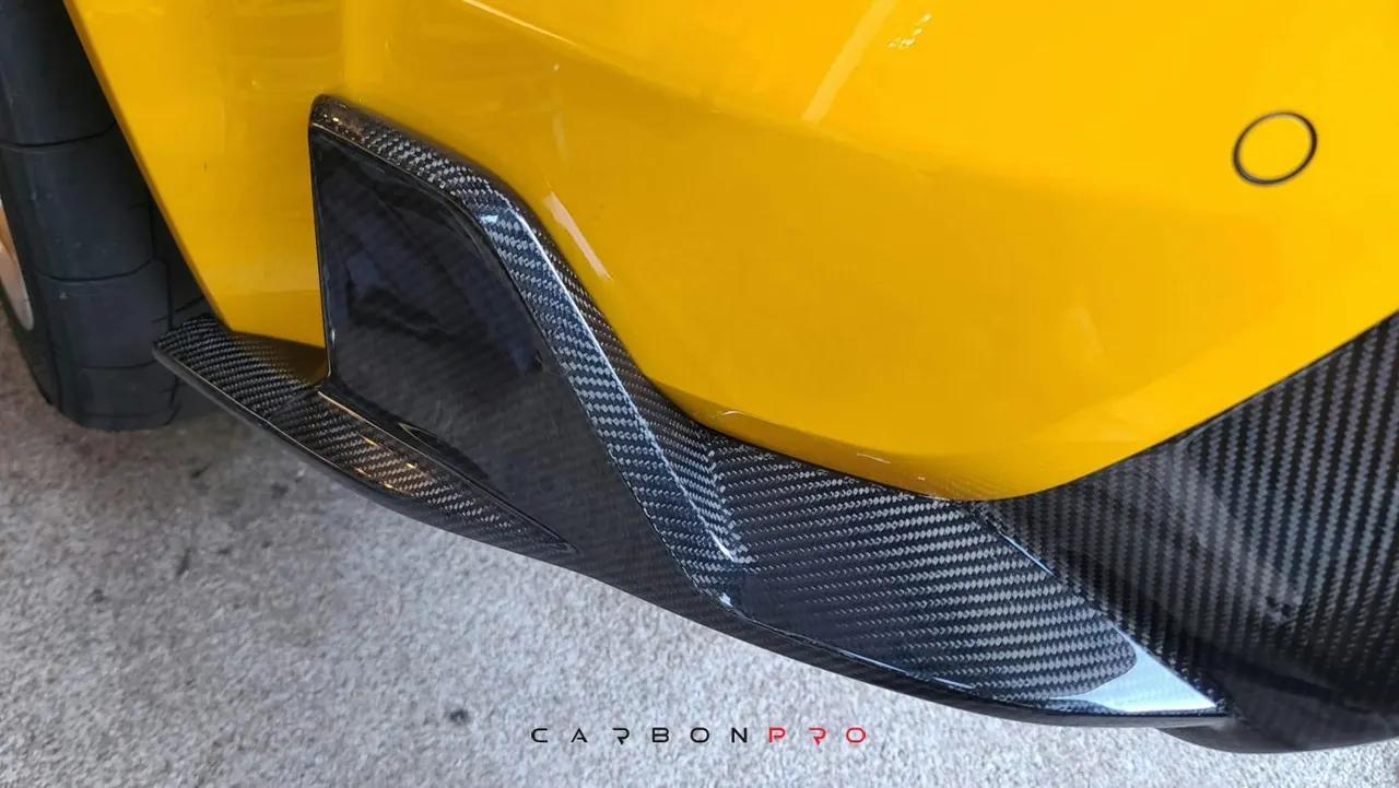 Rear Winglets