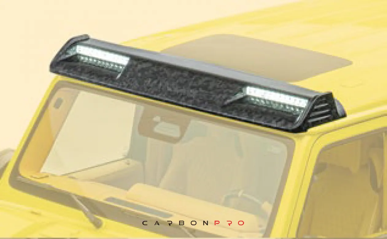 Roof panel with 2 lights