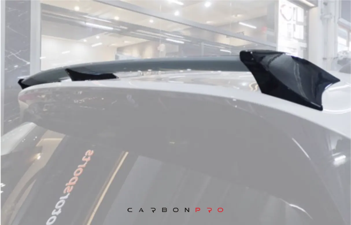 Roof Wing V6