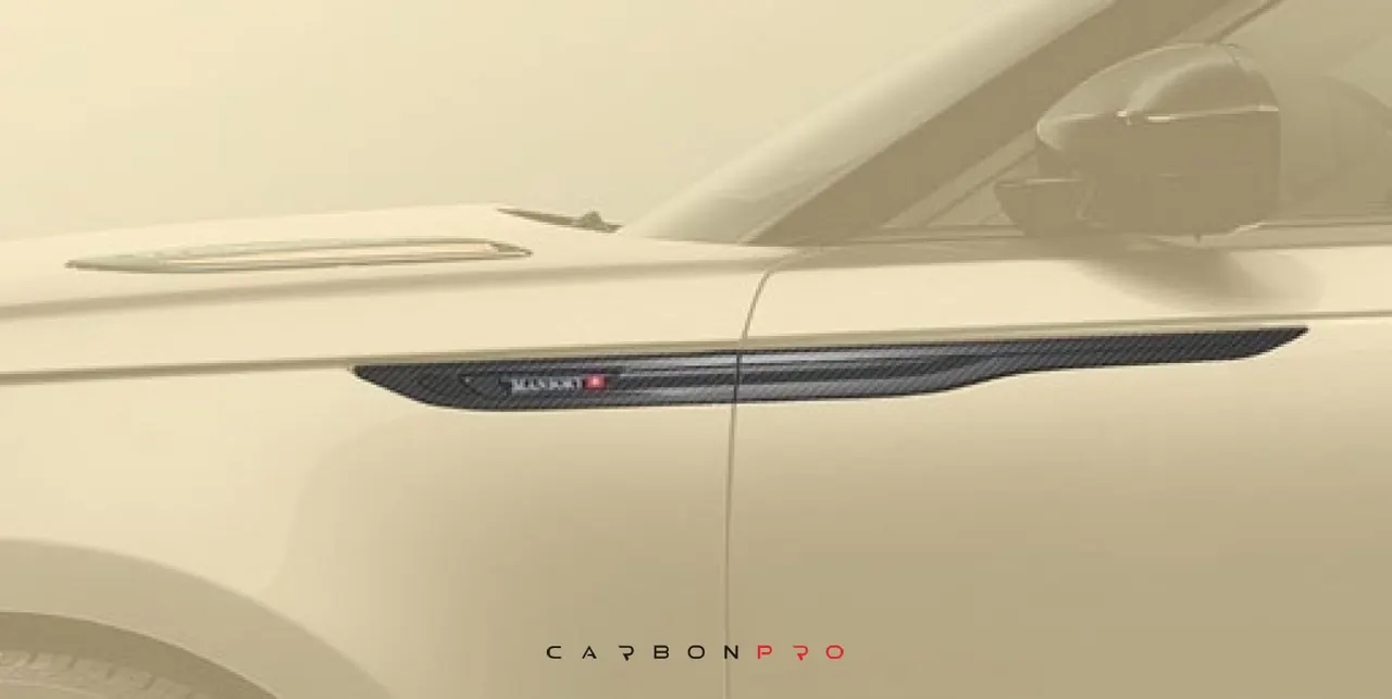 Side panel