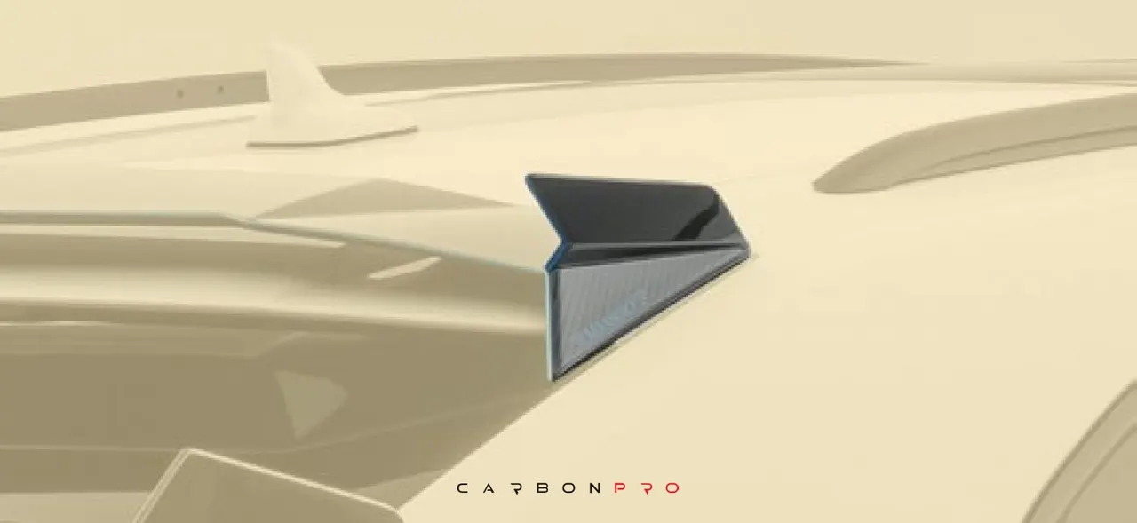 Spliter for MANSORY roof spoiler