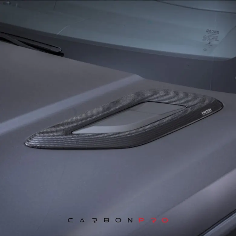 Carbon bonnet panel cover