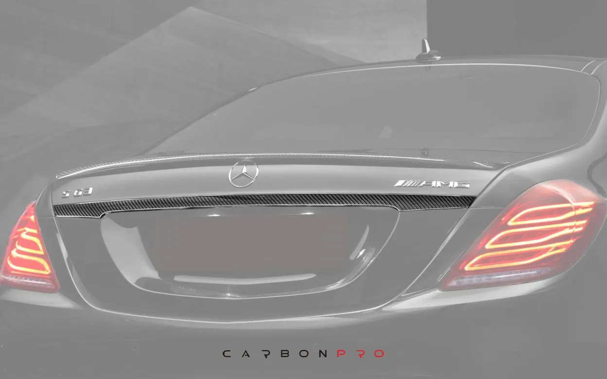 Carbon Trunk add on above license plate