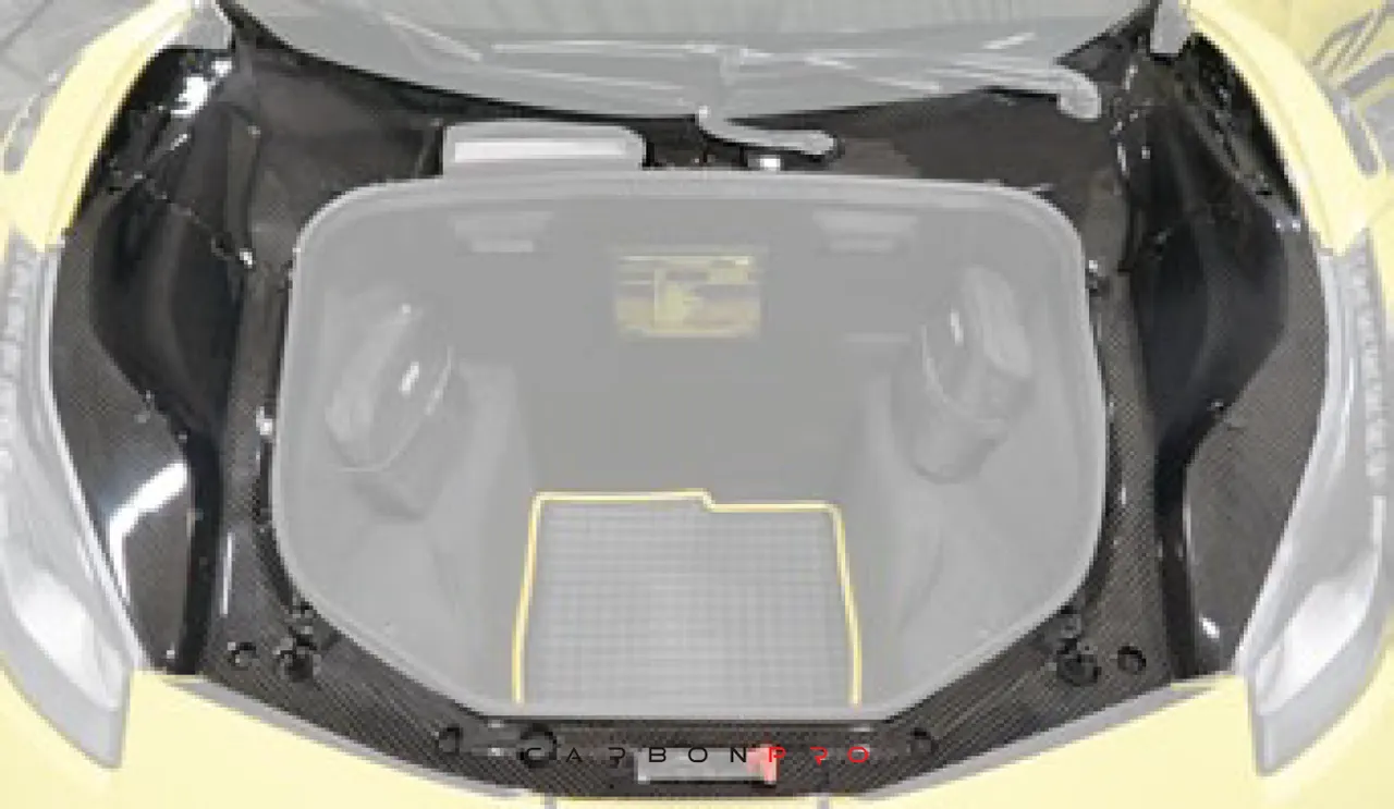 Trunk carbon cover