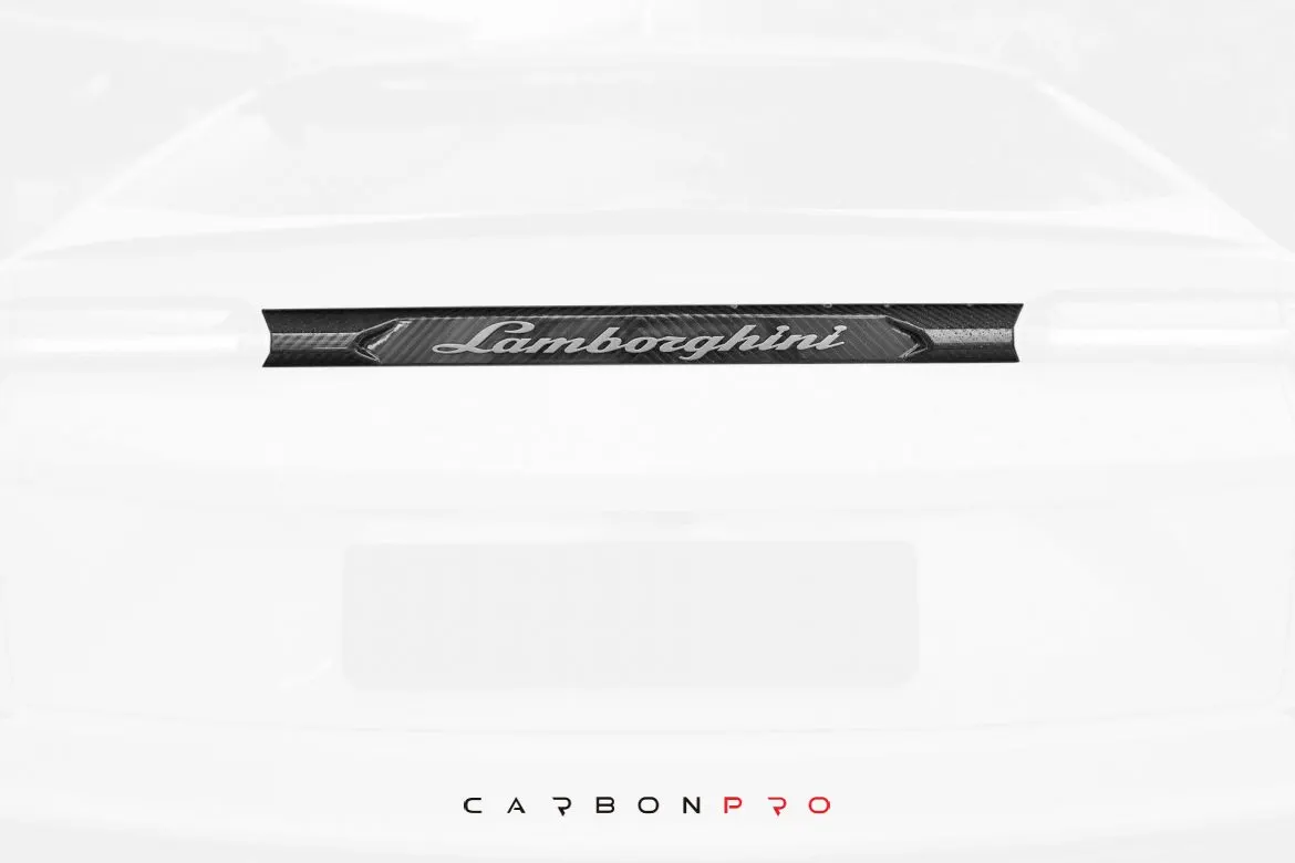 Carbon Trunk middle part