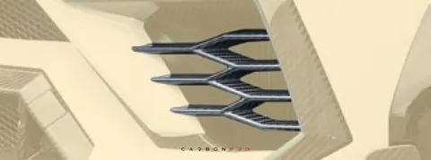 Air intakes lamels – carbon visible