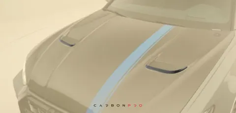 Air outtake engine bonnet splitter