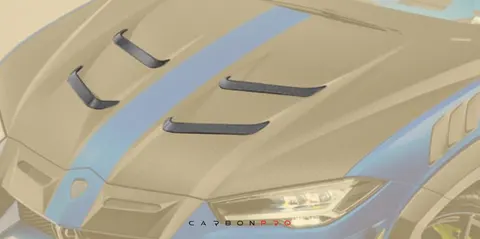 Air outtake splitter for MANSORY engine bonnet