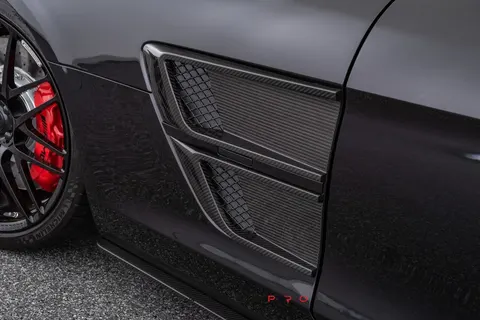 Carbon front fender inserts