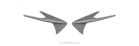 Canards