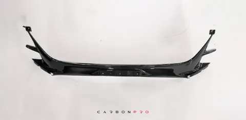 Carbon Central air intake