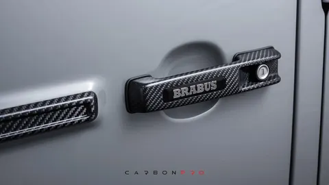 Carbon door handles