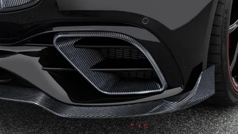 Carbon front fascia inserts