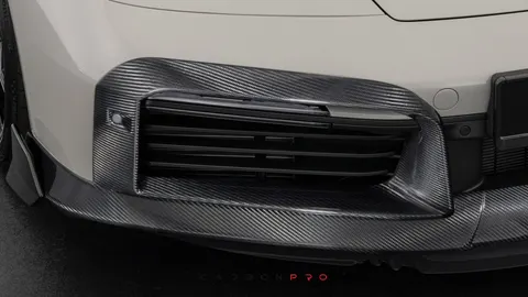 Carbon front fascia inserts