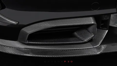 Carbon front fascia inserts