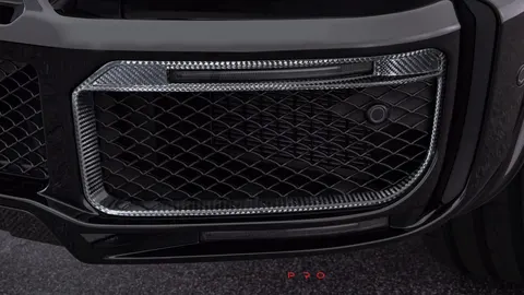 Carbon front fascia inserts for WIDESTAR