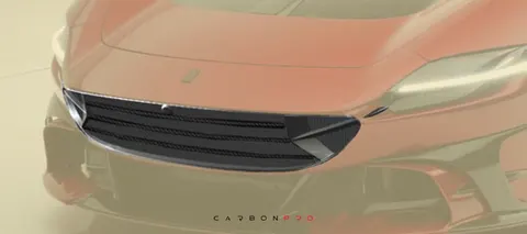Carbon front grill