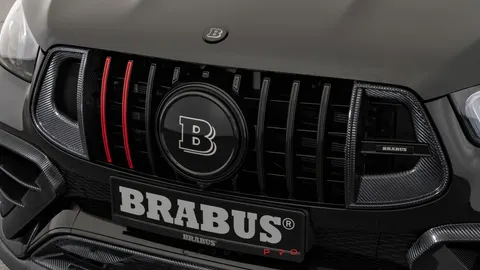 Carbon front grille inserts
