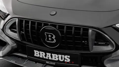 Carbon front grille inserts