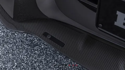 Carbon front spoiler lip