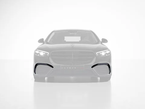 Carbon eye lids F1 Edition
