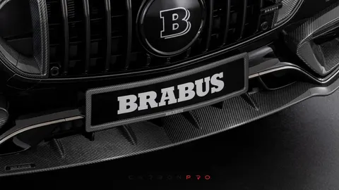 Carbon license plate holder