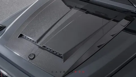 Carbon powerdome