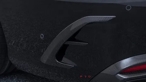 Carbon rear fascia inserts