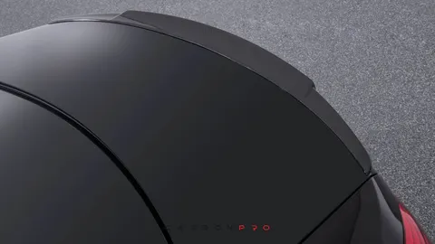Carbon rear spoiler