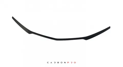 COVER FRONT BUMPER UPPER POSITION LONG