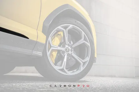 Carbon Door Moldings