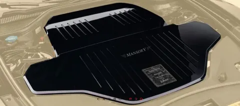 Engine carbon cover with emblem