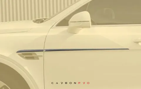 Front fender and door strip SHORT
