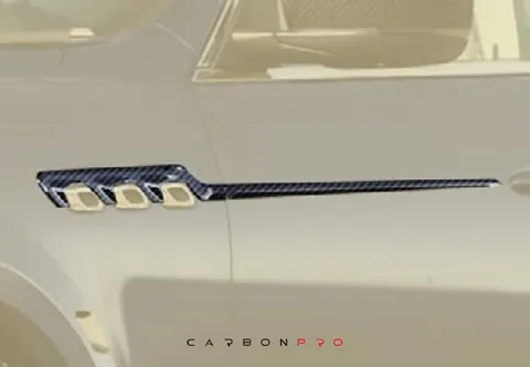 Front fender & door strip