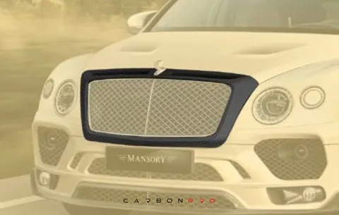Front grill mask for B-sculpture