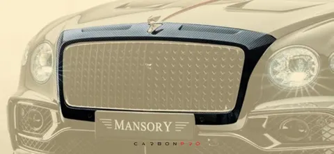 Front grill mask
