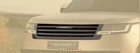 Front grill mask with illuminated logo