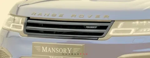 Front grill mask with logo