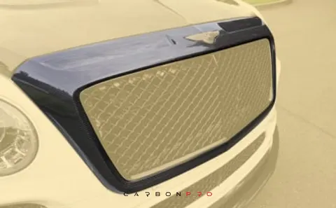 Front grill mask