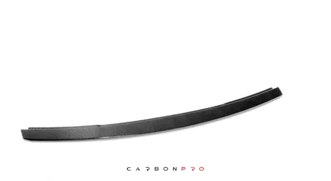 Front strut