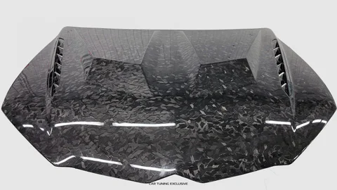 Carbon Hood