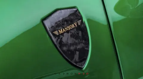 Individualized fender emblem