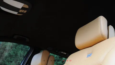 Leather / Alcantara headliner