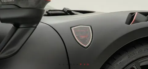 MANSORY individualized fender emblem
