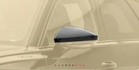 Mirror housing LHD