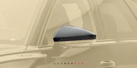 Mirror housing RHD