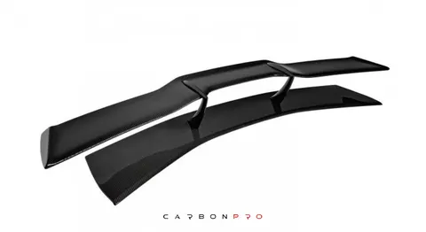 N-LARGO REARWING