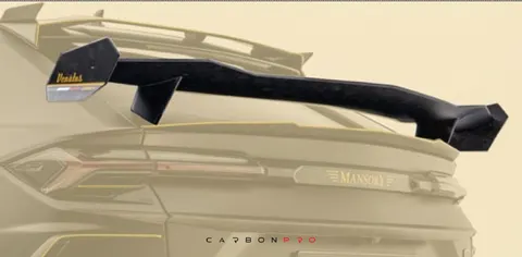 Performance wing EVO