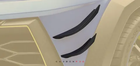 Race flaps – for car with front assistant